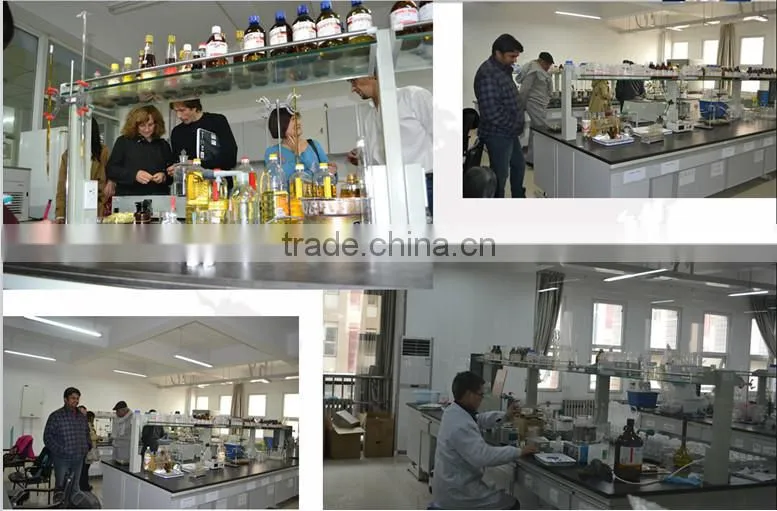 oil factory equipments for palm oil/oil making machinery/palm oil refining