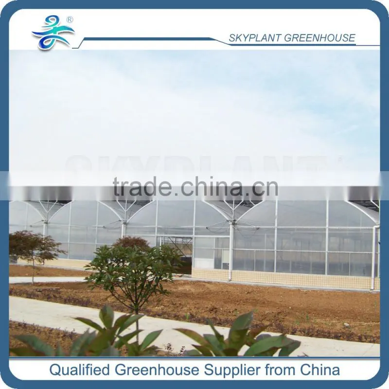 PE Film Plastic Horticultural Green house