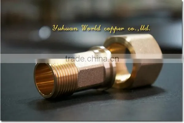 Brass Fitting Straight Tail With Loose Nut M/F