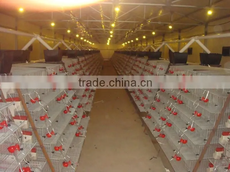 Steel wire mesh metal quail coops