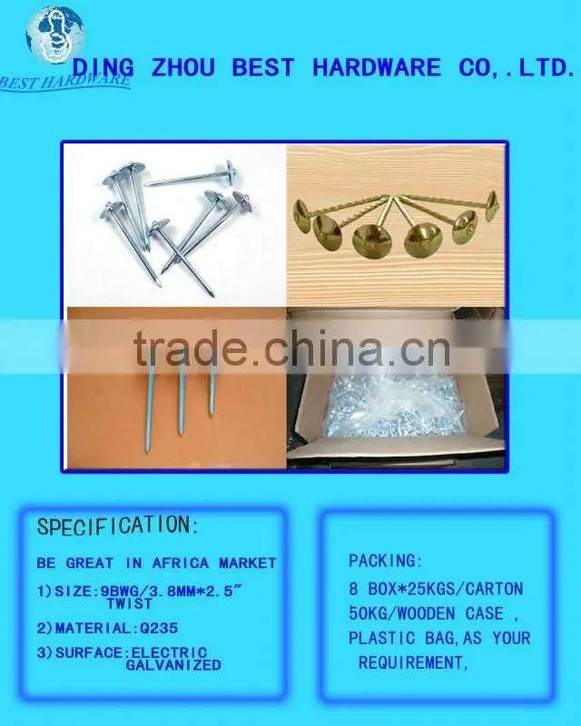 galvanized roofing nail with umbrella head from DINGZHOU BEST HARDWARE CO.,LTD