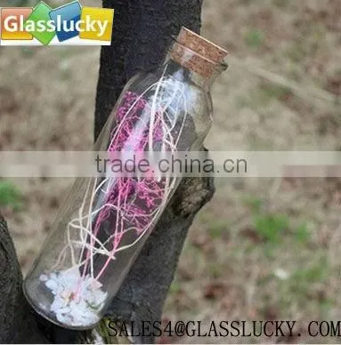 100ml colorful reed glass diffuser bottles with tampion