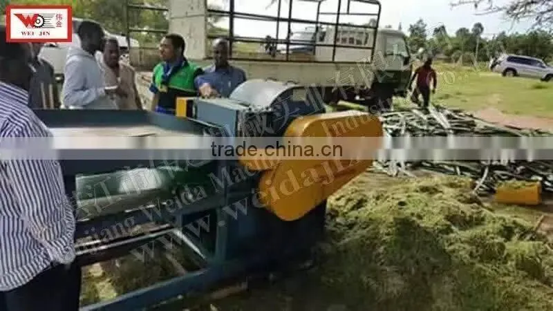 ZGM-4402 Sisal Fiber Extractor Machine 2t/h In Kenya