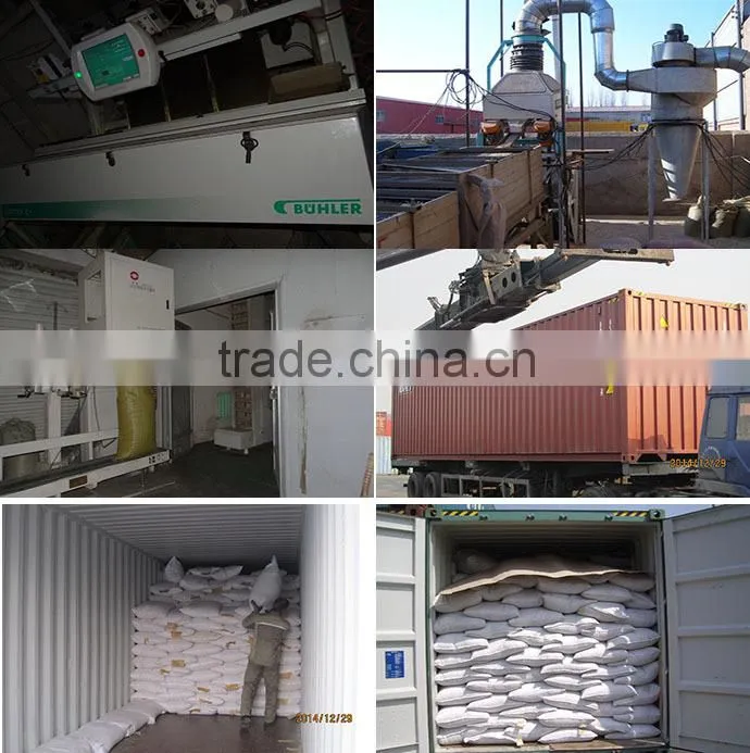 Export Of Agriculture Products