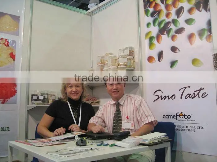 HACCP popular and cheap stone shaped chocolate candy in bulk
