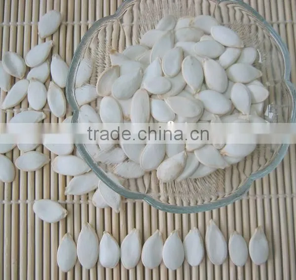 wholesale delicious red watermelon seeds