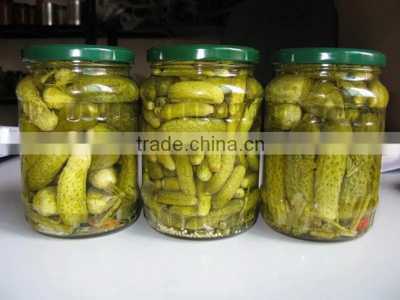 Good quality Vietnam fresh natural pickled cucumbers in jar 6-9cm