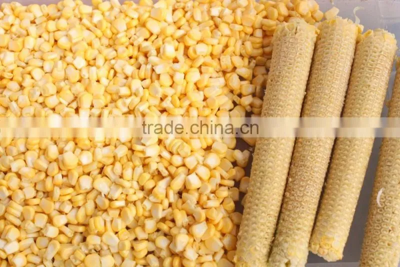 MZ-268/368 High Efficiency Sweet Corn Maize Sheller Thresher