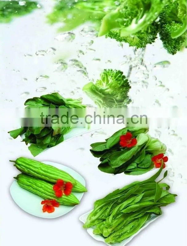 Brush vegetable washing machine /Automatic vegetable washing machine