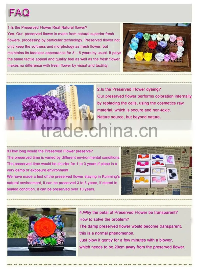Natural preserved rose flower crafts with various colors