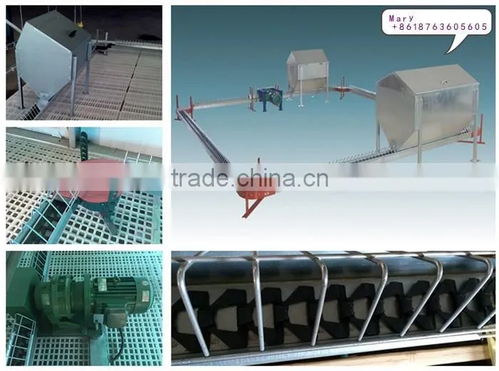 U-BEST full automatic poultry equipment for breeder chicken