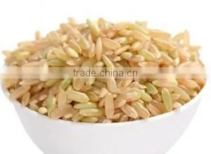 Hot sale enriched artificial Rice For Rice Machine