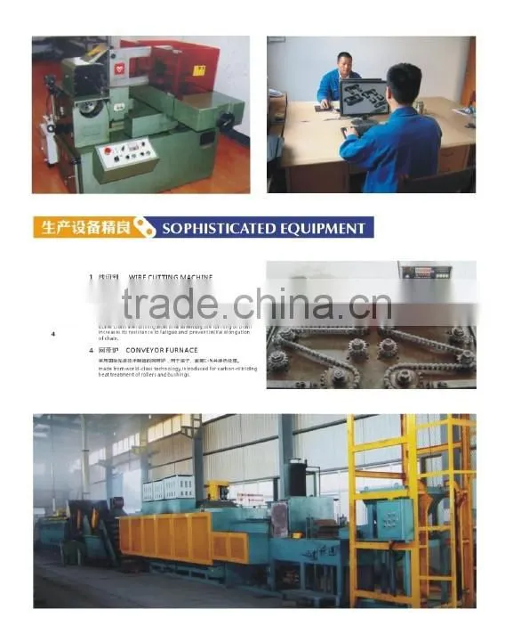 roller chain and bushing chain