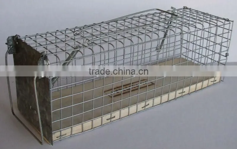 Cheap Galvanized Steel Mouse Trap Cage