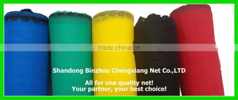 HDPE Scaffolding Net Safety mesh Safety Net