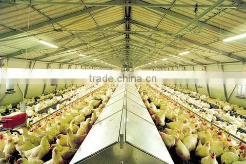 Professional design light steel structure wide span steel structure house