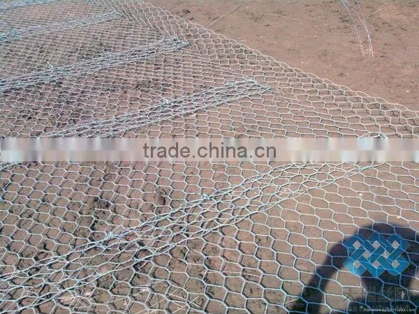 PVC coated galvanized Hexagonal Wire Netting /hexagonal wire mesh