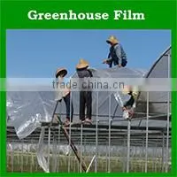 china factory 100% virgin reinforced plastic roll sheet korea pe tarpaulin