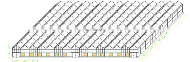 Large commercial glass greenhouseglass/ agricultural greenhouses/Glass venlo greenhouse