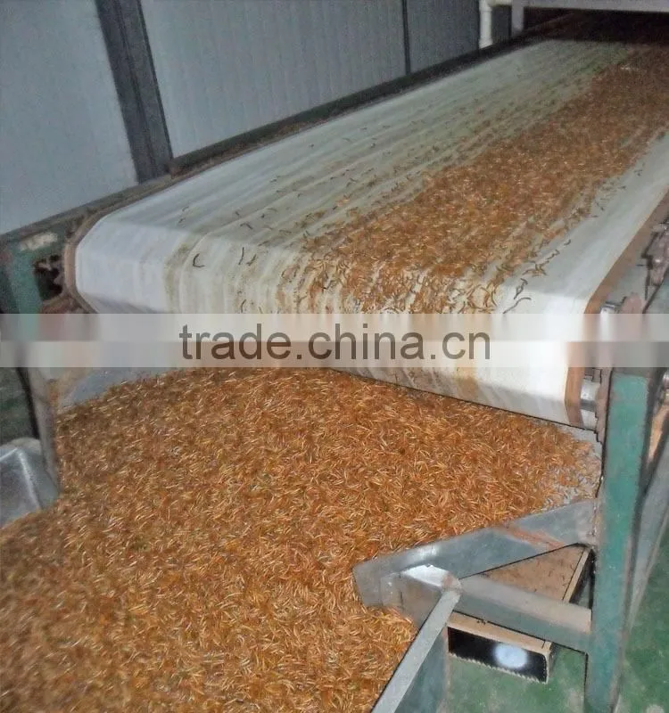 High Protein Dried Mealworms Wild Bird Food(freeze dry)