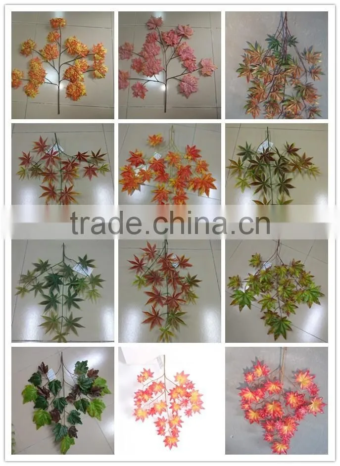 CHY070909 High initation golden hanging tree leave