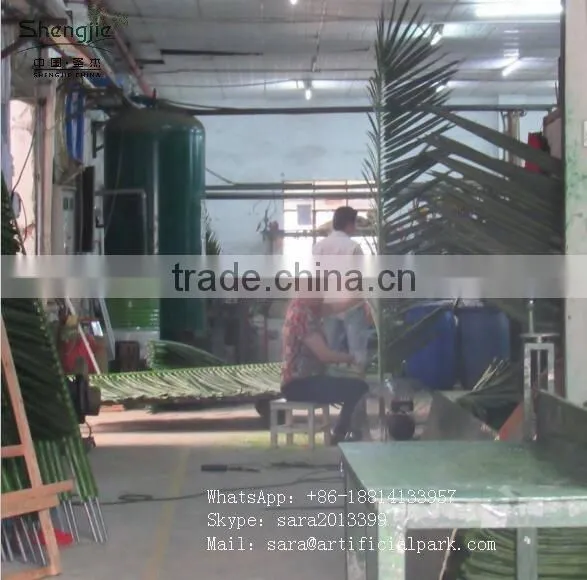 SJ7001027 Preserved outdoor plam tree leaf with UV protection