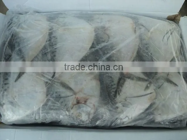 FROZEN MOONFISH