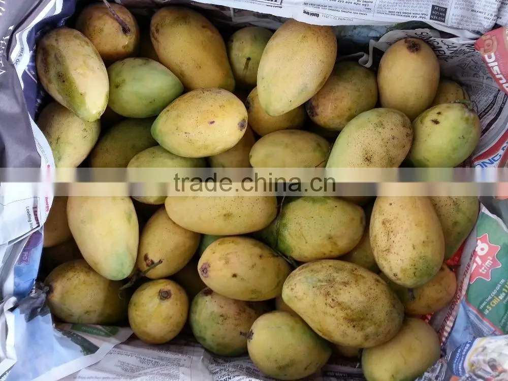 Fresh Fruits Corporation Frozen Mango Export From Viet Nam With Competitive Price Individual Quick Frozen