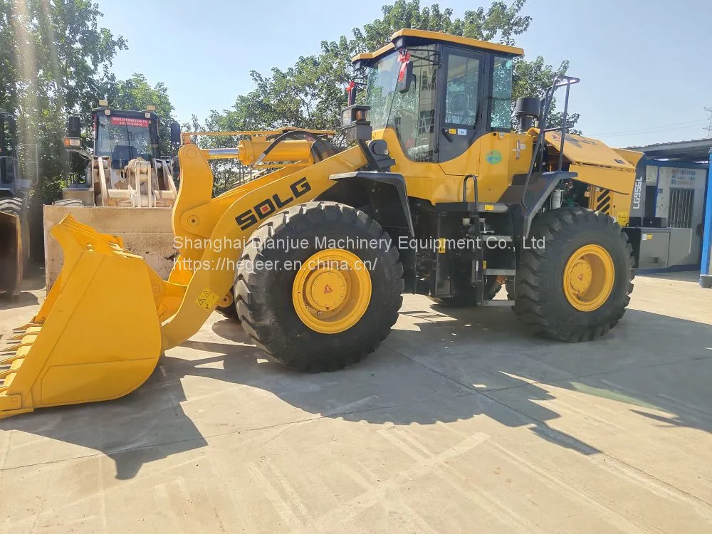 临工956L (12)