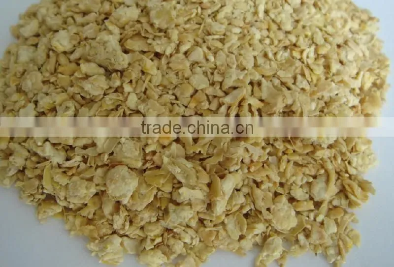 Nutrititional Textured Soya Protein Machine