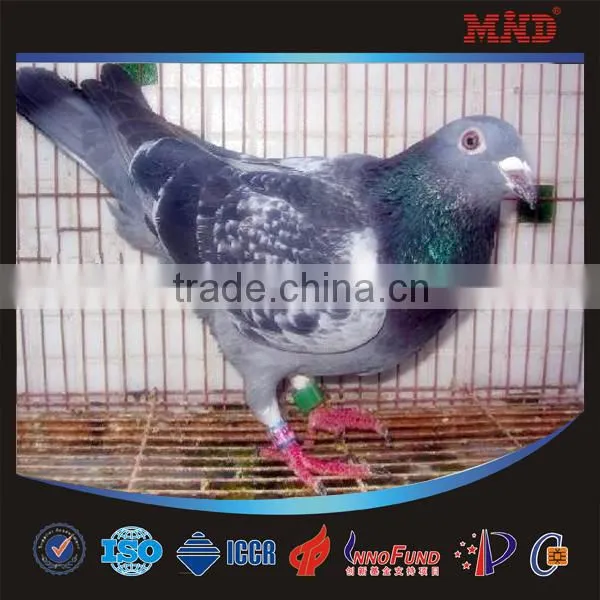 2014 ring for racing pigeon