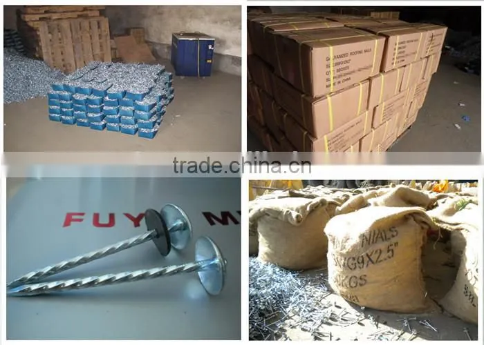 Galvanized corrugated Roofing Nails with umbrella head
