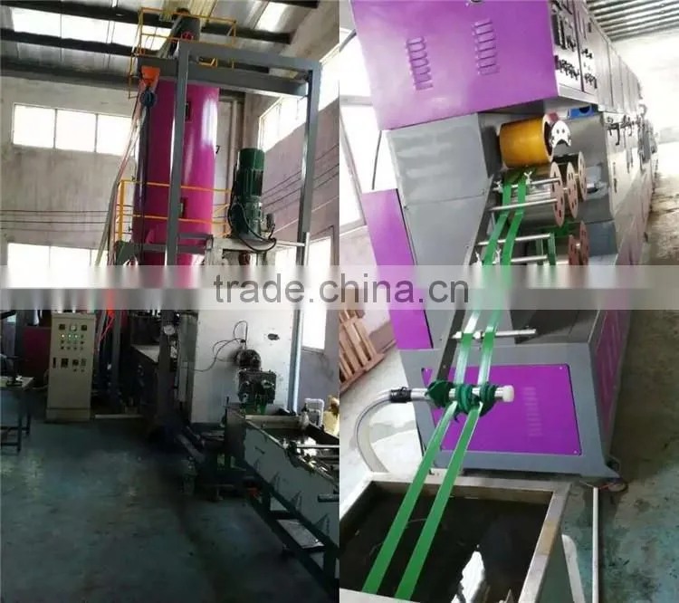 High quality polyester pet strap manufacturer