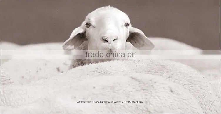 Wool and Cashmere Throw