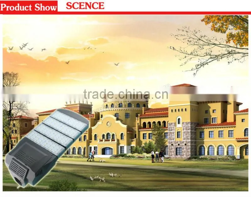 2013 Newest High Power Cob LED Street Light
