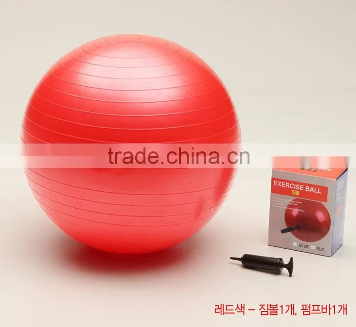 65cm Diameter Gym Ball/ Gym Equipment/ Rack