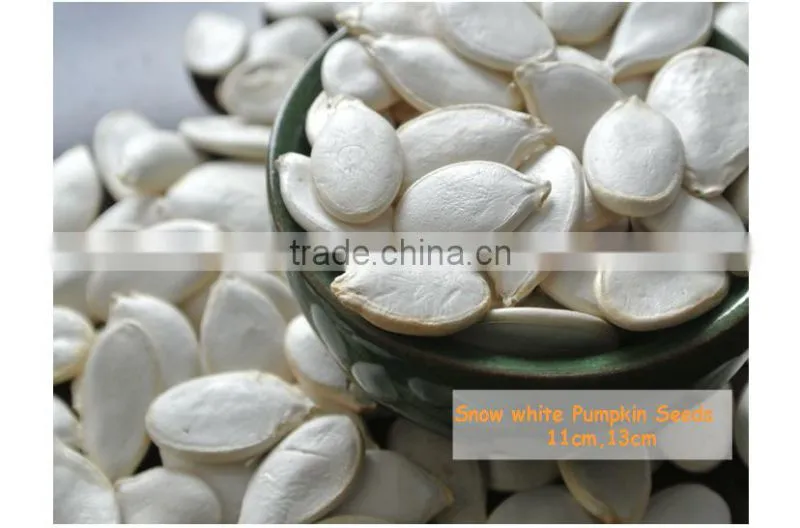 Foam Pumpkin Seed Oil Prostatatic and Dried Pumpkin