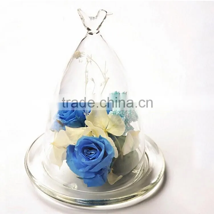 decorative glass dome for wedding,mini dome cloches