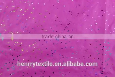 nylon fabric for Down jacket