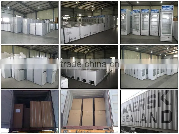 Solar and Electricity Power Source DC Compressor Solar Refrigerator