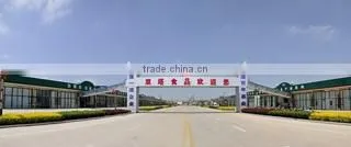 Yantai Shuangta Food Co., Ltd. company overview - view 1
