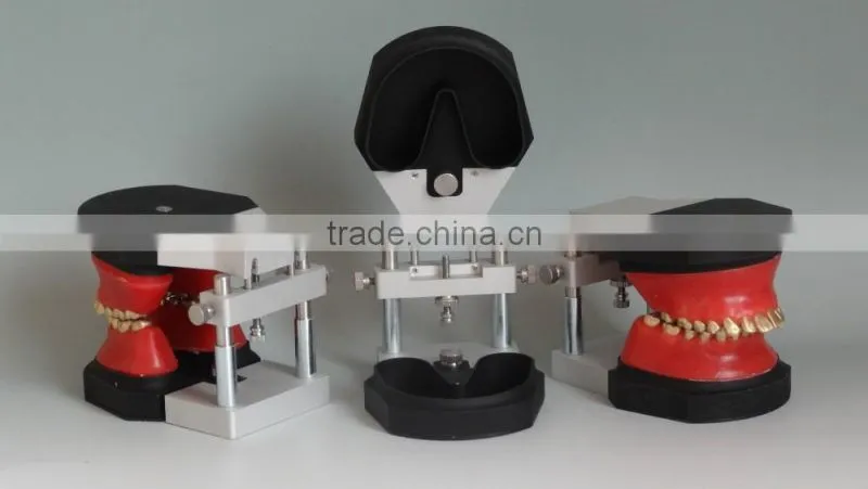 Dental orthodontic operational training model DEA-32