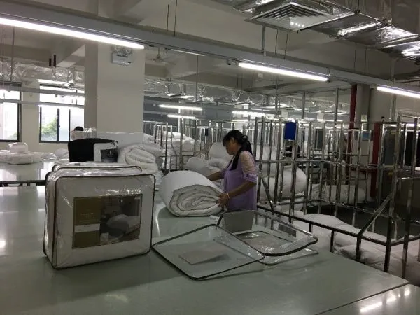 Hangzhou Paradise Import Export Co.,Ltd company overview - view 2