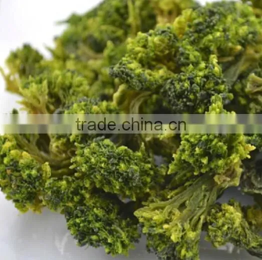 China wholesale Broccoli, Broccoli powder,Dried Broccoli best selling products in europe