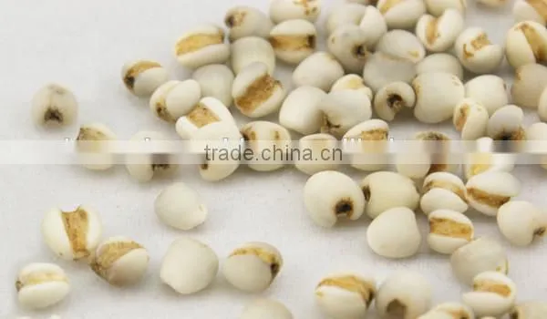 Automatic edible seeds de-hulling machine