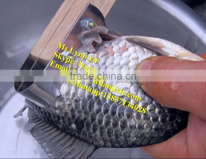 fish scaling and killing machine / industrial fish gutting machine