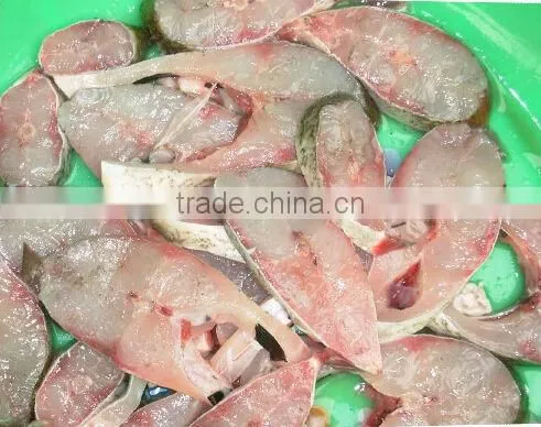band saw frozen fish cutting machine/fish cutting machine price