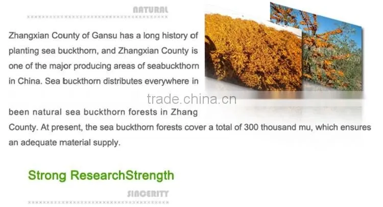 Effectively reduce the blood sugar of diabetes Sea-buckthorn Tea