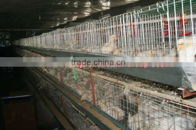 TAIYU-102 breeding broiler cage