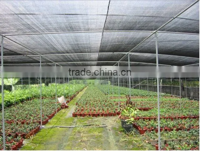 HDPE Green sun shade net for agriculture